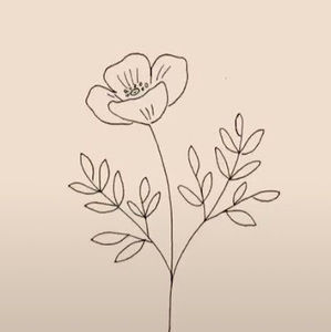 Meet your Posher, Lillian